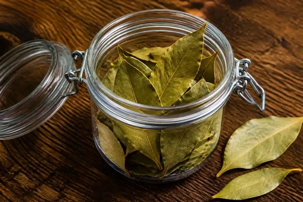 Bocal verre ouvert contenant feuilles laurier seches