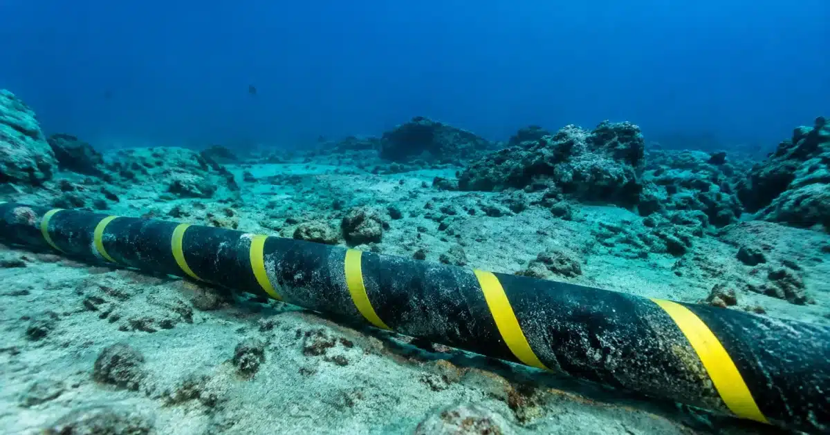Cables sous-marins etendus horizontalement au fond ocean indien
