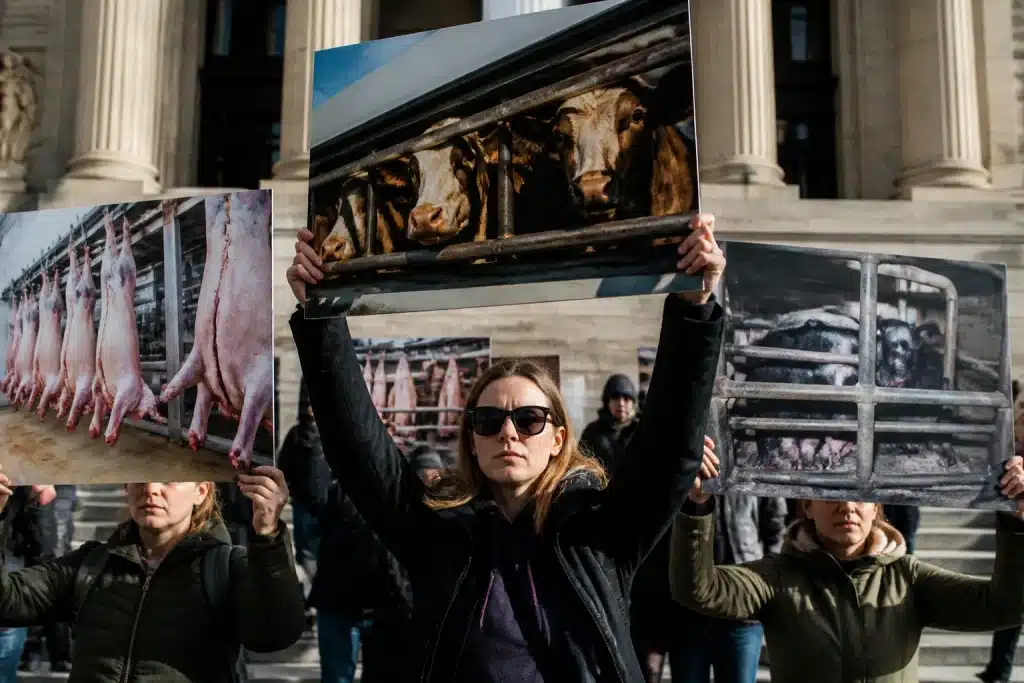 Manifestants tenant pancartes critiquant les subventions aux installations d'abattage