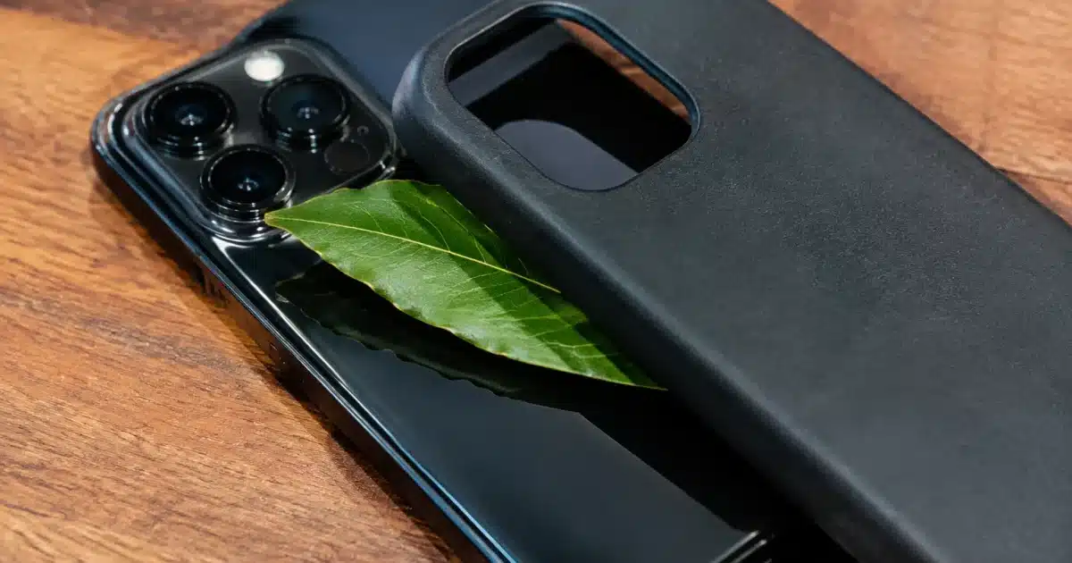 Feuille de laurier glissée entre telephone et etui protecteur noir