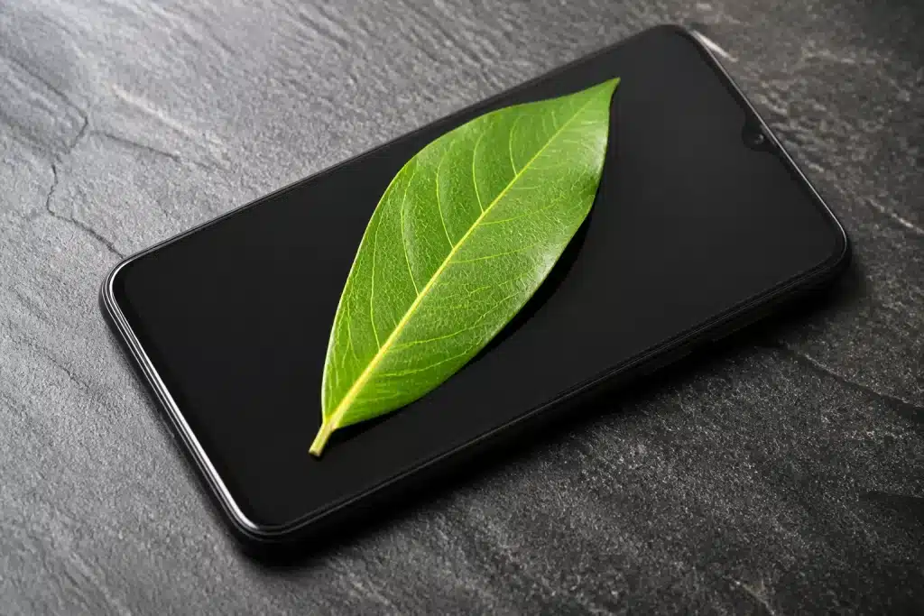 Feuille de laurier verte posée sur telephone noir