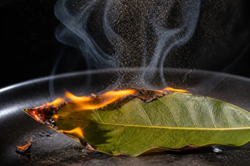 Feuille de laurier brulante avec vapeur et particules fines