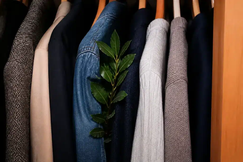 Feuilles de laurier vert entre vetements dans armoire