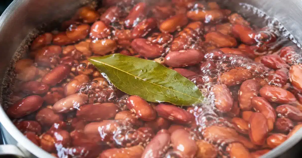 Feuille de laurier flottant a la surface d'une casserole remplie d'eau bouillante avec haricots