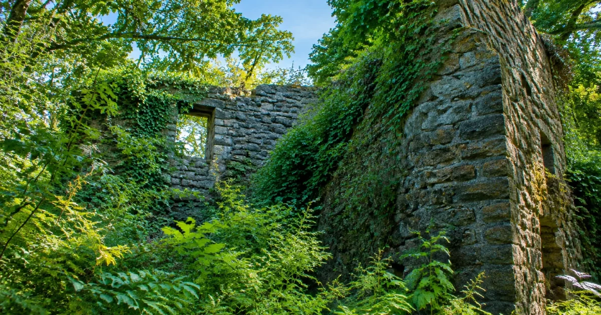Murs massifs dresses parmi vegetation epaisse