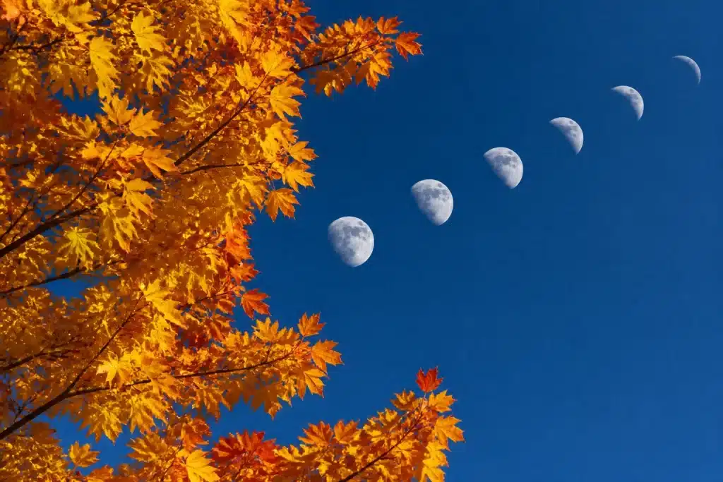 Transition automnale avec feuilles dorées et cycles lunaires visibles