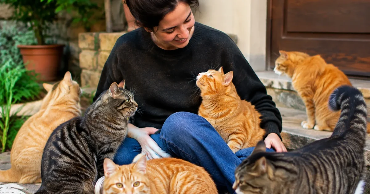 Personne assise au sol entourée de plusieurs chats roux et tigrés