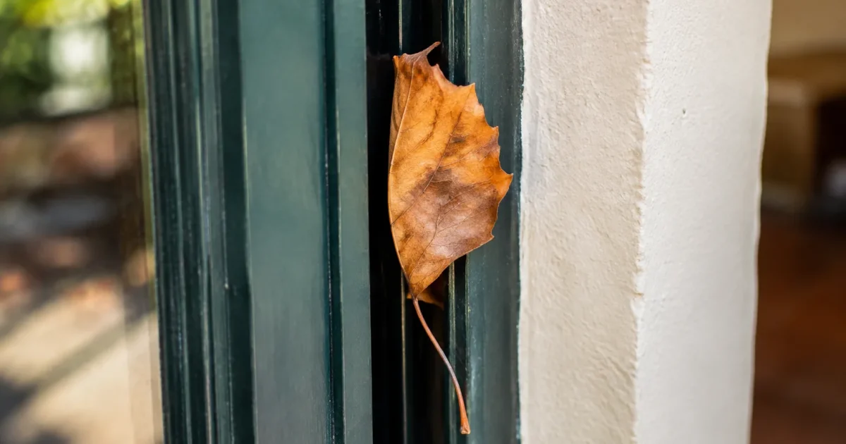 Feuille seche coincee derriere cadre de porte