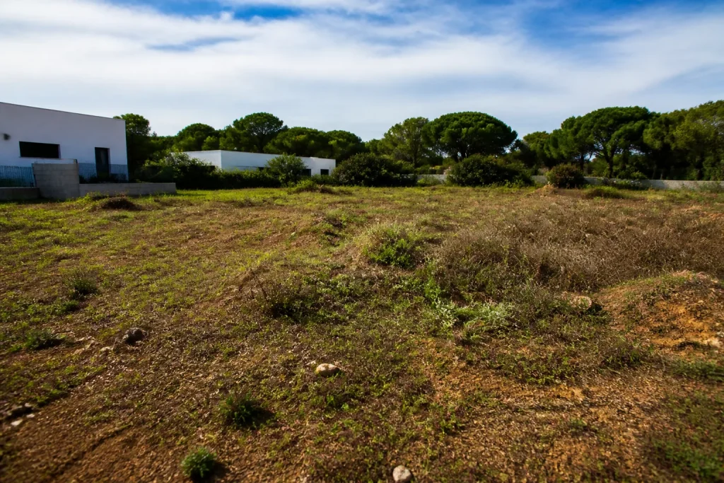 Terrain vague avec panneau immobilier prix eleve